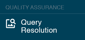 Query Resolution / SME Support-QA