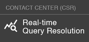 Real-time Query Resolution / SME Support-CSR